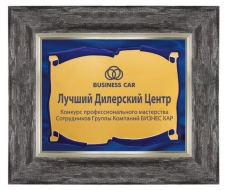 ����� 1009 + ������������ ������